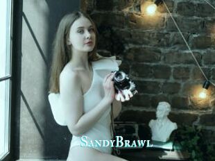 SandyBrawl