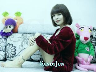 SandyJun