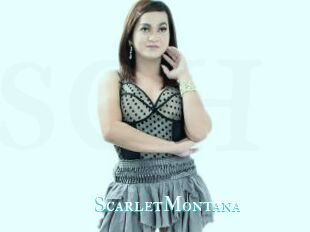 ScarletMontana
