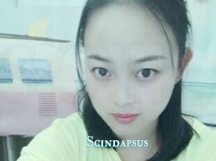 Scindapsus