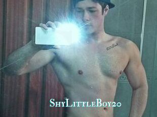 ShyLittleBoy20