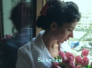 Silkworm