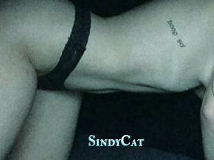 SindyCat
