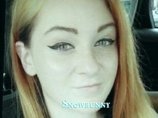 Sn0wbunny