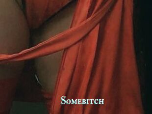 Somebitch