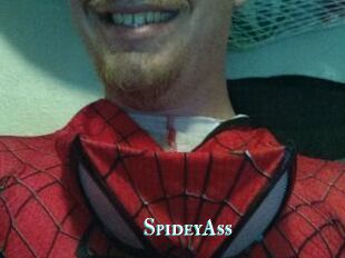 SpideyAss