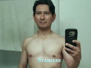 Stampede