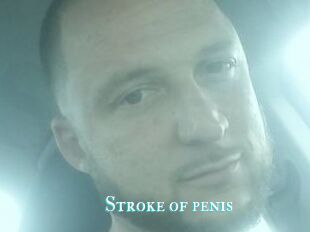 Stroke_of_penis