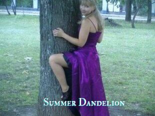 Summer_Dandelion