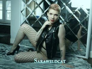 Sarawildcat