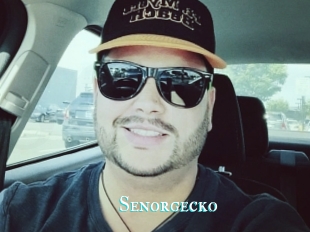 Senorgecko