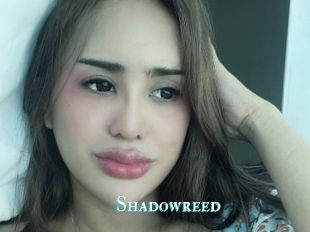 Shadowreed