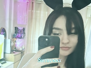 Shybunny