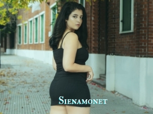 Sienamonet