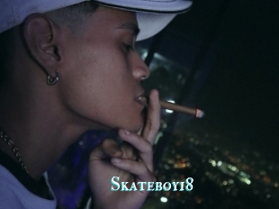Skateboy18