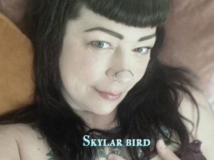 Skylar_bird
