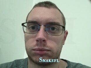 Snakefl