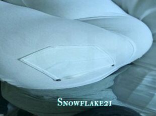 Snowflake21