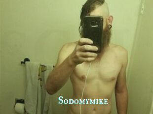 Sodomymike