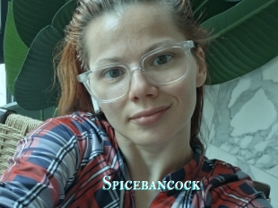 Spicebancock