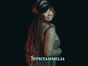 Sppicyammelia