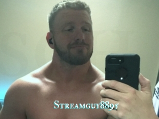 Streamguy8895
