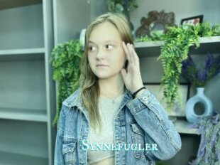 Synnefugler