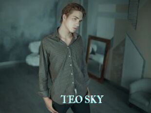 TEO_SKY