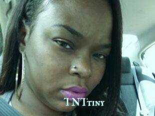 T_N_Ttiny