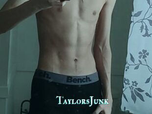 TaylorsJunk