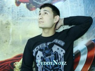 TeddyNoyz