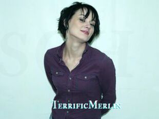 TerrificMerlin