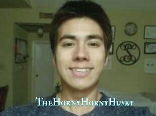 TheHornyHornyHusky