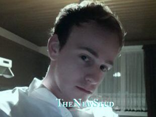 TheNewStud