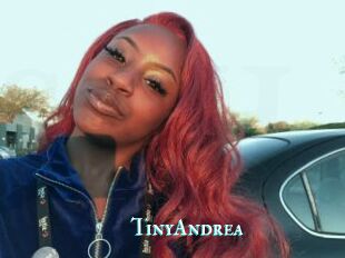 TinyAndrea