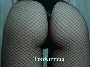 TinyKitty22