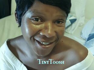 TinyToosh