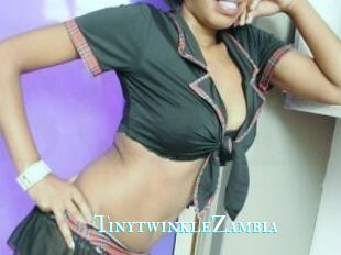 TinytwinkleZambia