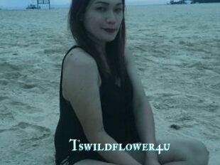 Tswildflower4u