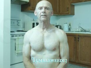 Tumbleweed13