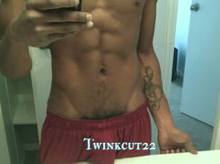 Twinkcut22
