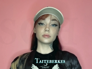 Taiteberkes