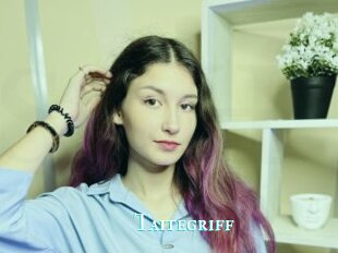 Taitegriff