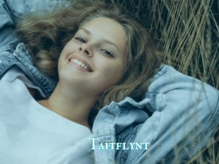 Taitflynt
