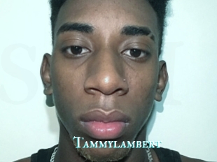 Tammylambert