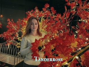 Tanderrose