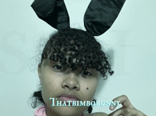 Thatbimbobunny