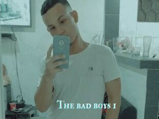 The_bad_boys_1