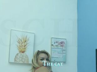 The_cat