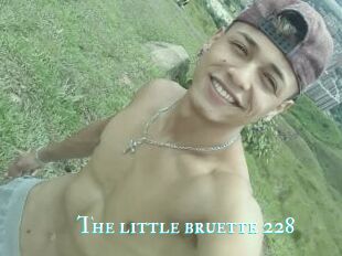 The_little_bruette_228